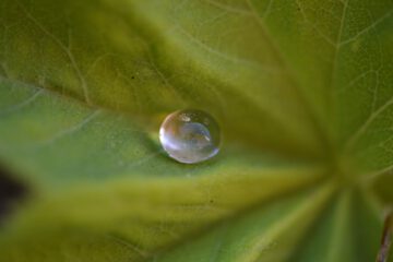 “Het helingsproces en werken aan jezelf: is het ooit klaar?